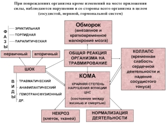 Воспаление сосудистой, нервной, гормональной систем