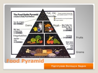 Food Pyramid