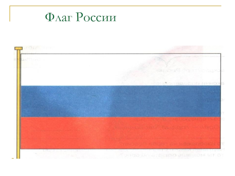 Как выглядит флаг картинка. Флаг России. 1 Флаг России. Торговый флаг России. Российский флаг с подписью.