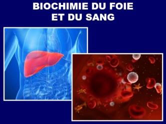 Biochimie du foie et du sang
