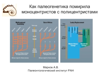 Как палеогенетика помирила моноцентристов с полицентристами