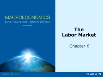 The Labor Market