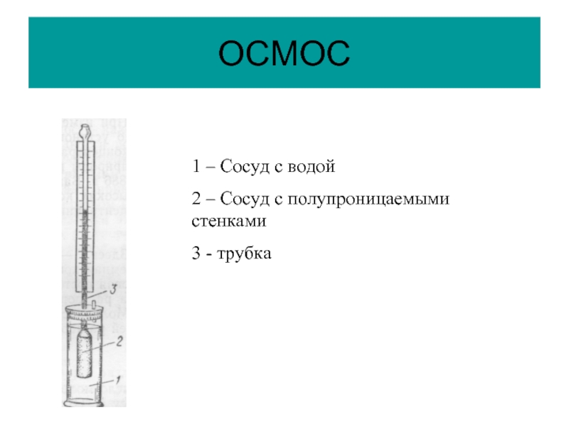 Сосуд с жесткими стенками