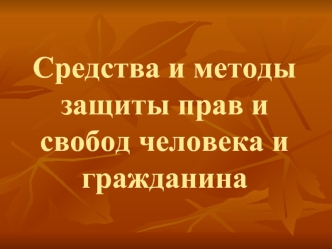 Средства и методы защиты прав и свобод человека и гражданина