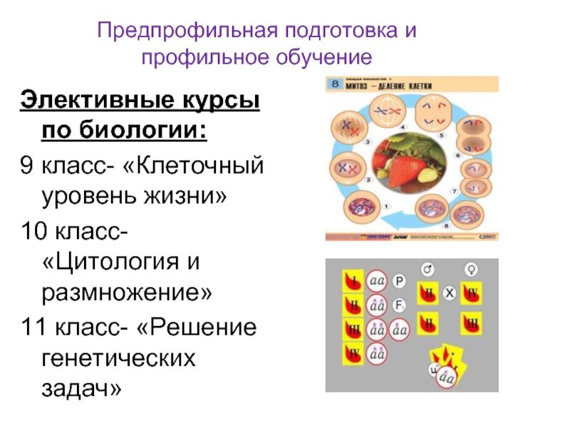 Клеточный уровень биология 9. Элективы по биологии. Название элективного курса по биологии. Элективные курсы по биологии 10 класс. Профильное обучение биологии.