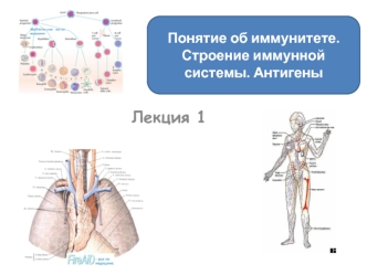 Понятие об иммунитете. Строение иммунной системы. Антигены