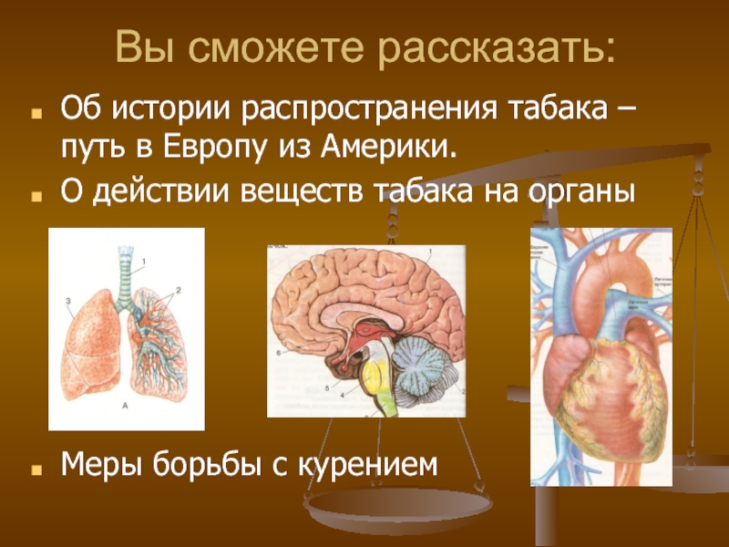 Проект курение среди молодежи