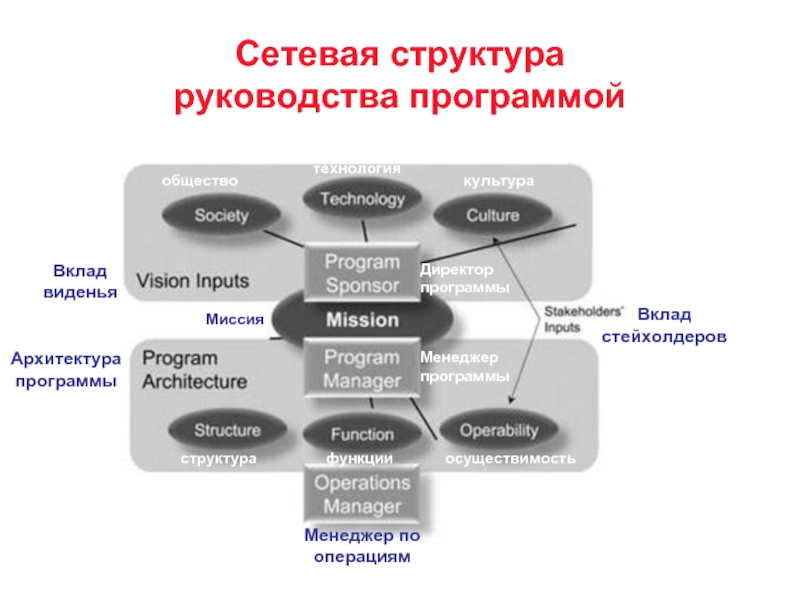 Сетевые структуры общества