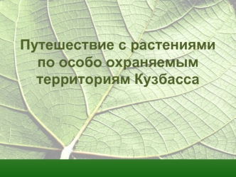 Путешествие с растениями по особо охраняемым территориям Кузбасса