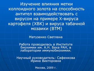 Изучение влияния метки коллоидного золота на способность антител взаимодействовать с вирусом на примере Х-вируса картофеля (ХВК) и вируса табачной мозаики (ВТМ)