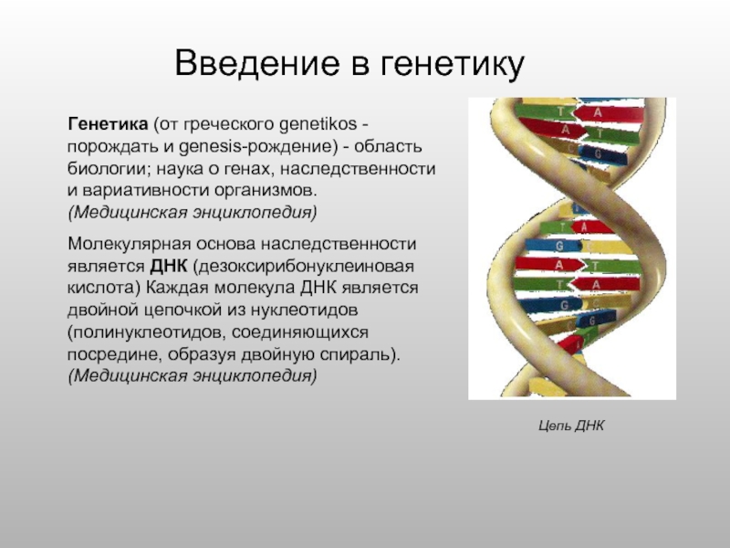 Генетика в числах. Генетика Введение. Введение в генетику. Введение генетика и человек. Введение в генетику человека.