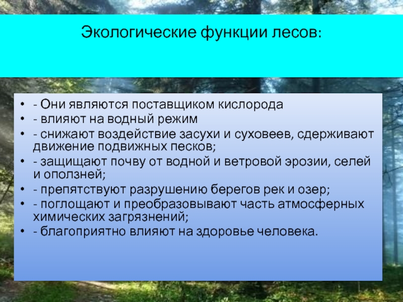 Используя материал краткой теории заполните схему экологические функции леса