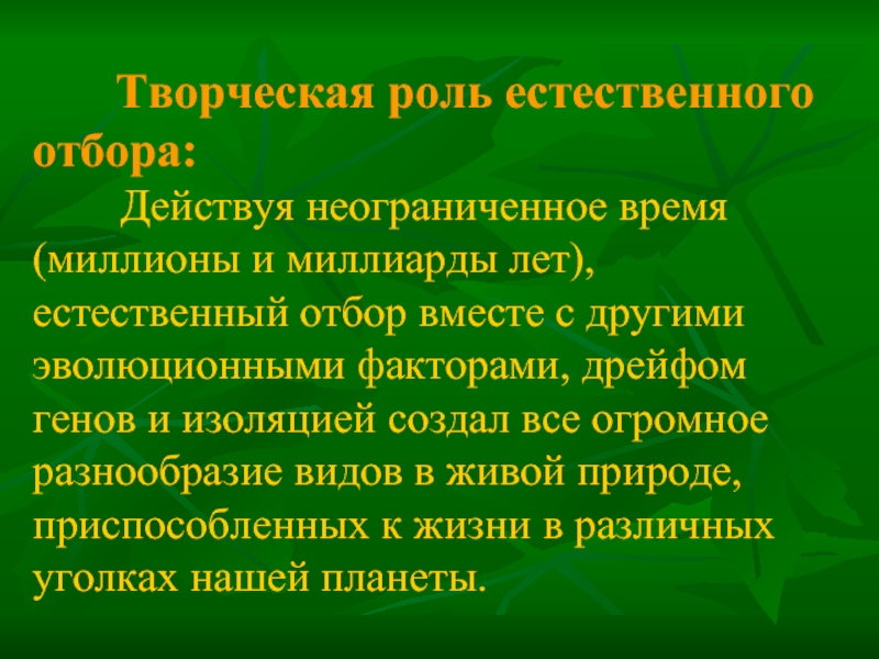 Роль естественного. Творческая роль естественного отбора. Творческий характер естественного отбора. Творческая роль отбора в эволюции. Творческая роль естественного отбора в эволюции.