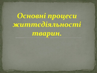 Основні процеси життєдіяльності тварин