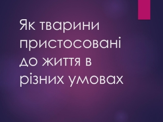 Пристосування тварин до життя в різних умовах