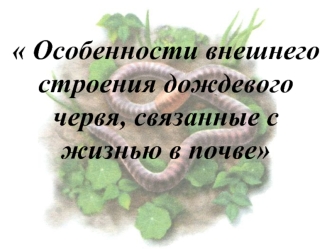 Особенности внешнего строения дождевого червя, связанные с жизнью в почве