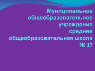 Муниципальное общеобразовательное учреждение средняя общеобразовательная школа № 17