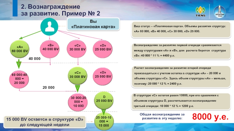 Маркетинг тяньши маркетинг план