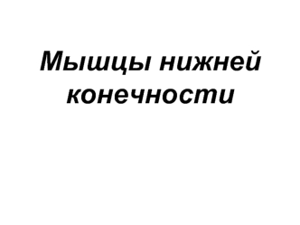 Мышцы нижней конечности. Мышцы тазового пояса. Мышцы свободной нижней конечности