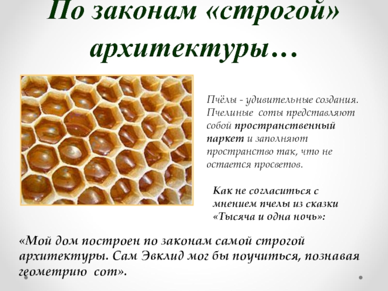 Как получить пчелиную соту. Строение ячейки сота пчелиного. Соты пчел строение. Пчелиные соты структура. Из чего состоят соты пчелиные.