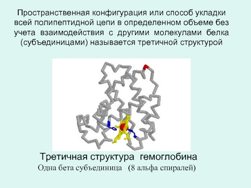 Пространственная конфигурация. Пространственная конфигурация третичной структуры белка. Трехмерной структура полипептидной цепи. Пространственная конфигурация белковой молекулы. Пространственная укладка белков третичная структура.