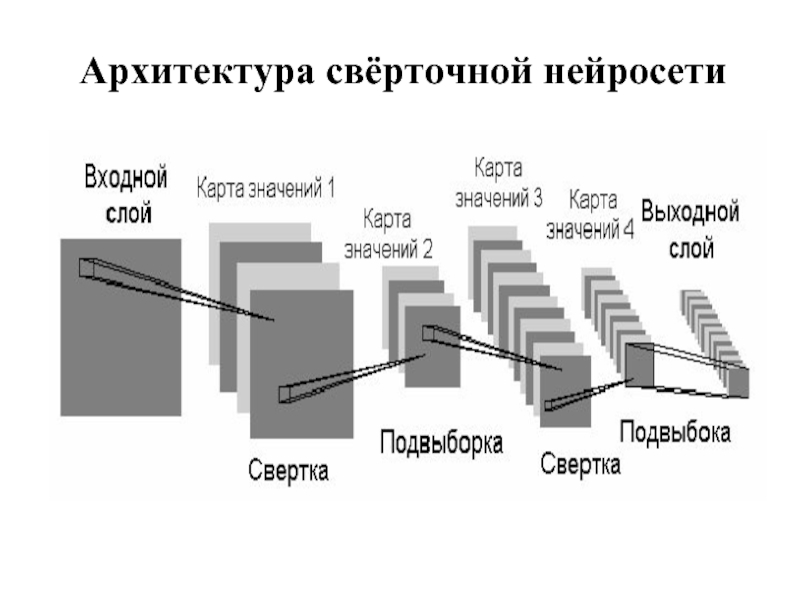 Сверточные нейронные сети