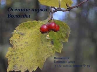 Осенние парки Вологды