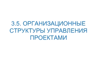 3.5. ОРГАНИЗАЦИОННЫЕ СТРУКТУРЫ УПРАВЛЕНИЯ ПРОЕКТАМИ