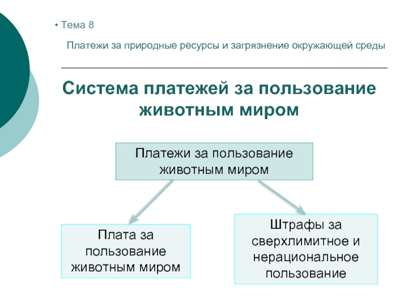 Плата за природные ресурсы презентация