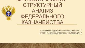 Функционально-структурный анализ федерального казначейства