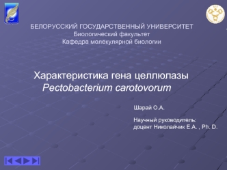 Характеристика гена целлюлазы Pectobacterium carotovorum