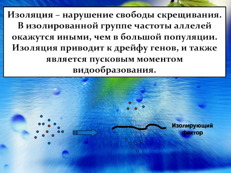 Изоляция микроэволюция. Изоляция в микроэволюции. Какие факторы могут приводить к изоляции популяций. Относительная изолированность популяции.