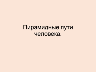 Пирамидті жол 2 нейроннан тұрады