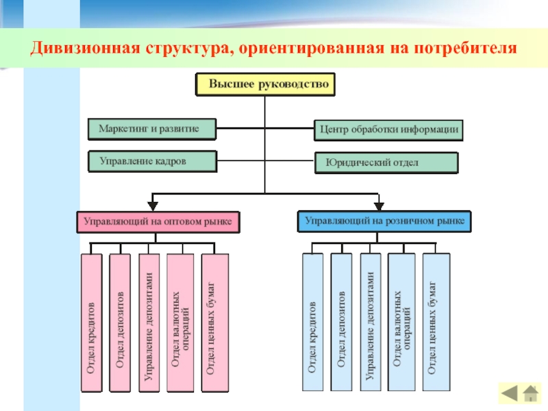 Ориентированная на потребителя. Дивизиональная потребительская организационная структура. Дивизиональная структура управления ориентированная на потребителя. Дивизионная структура ориентирована на потребителя. Организационная структура ориентированная на потребителя.