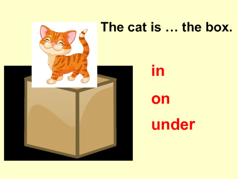Prepositions of place under. Prepositions of place in on under next to. Prepositions of place 3 класс. Prepositions of place in on under. Prepositions of place презентация.