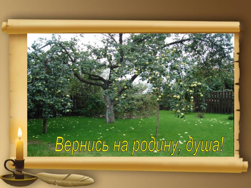 Душа родины. Родина души.