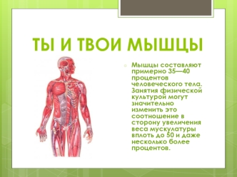 ТЫ И ТВОИ МЫШЦЫ