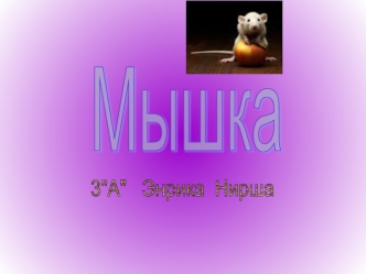 Мышка