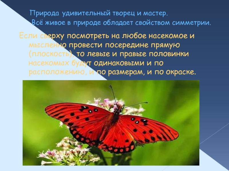 Природа чем обладает