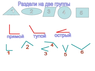 Раздели на две группы