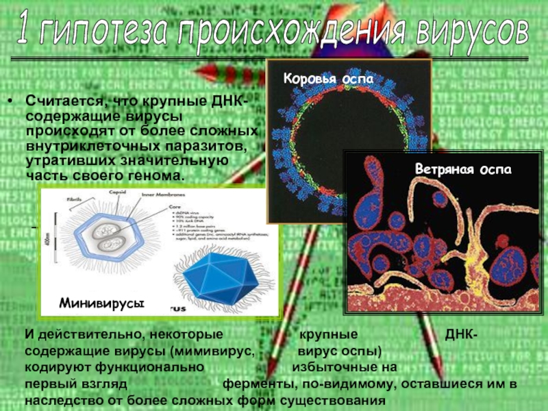 Вирусы внутриклеточные паразиты. Гипотезы происхождения вирусов. Крупный вирус содержащий ДНК. Происхождение и Эволюция вирусов. Вирусы происхождение и строение.