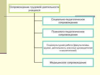 Сопровождение трудовой деятельности учащихся Социально- педагогическое сопровождение Психолого- педагогическое сопровождение Социокультурная работа (факультативы,