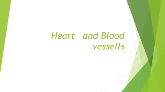 Heart and blood vessells