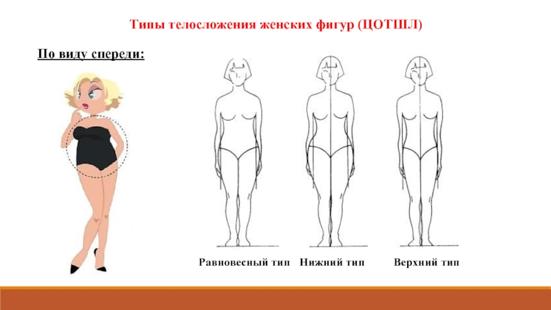 Какая может быть фигура описание. Типы телосложения. Типы женских фигур. Типы людей по телосложению.