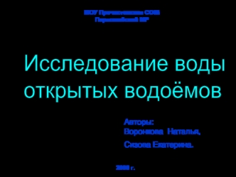 МОУ Пречистенская СОШ Первомайский МР Авторы: Воронкова Наталья, Сизова Екатерина. 2006 г.