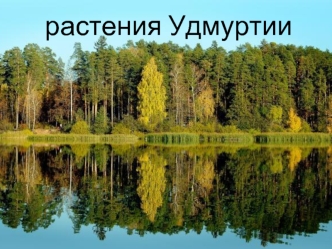 Растения Удмуртии