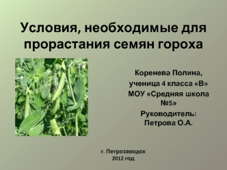 Условия, необходимые для прорастания семян гороха