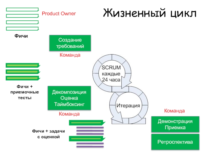 Этапы цикла команды