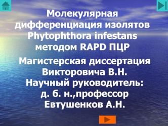 Молекулярная дифференциация изолятов Phytophthora infestans методом RAPD ПЦР