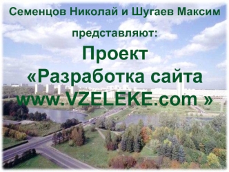 Проект Разработка сайта www.VZELEKE.com